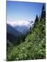 Bonney Range, Glacier National Park, Rocky Mountains, British Columbia, Canada-Geoff Renner-Mounted Photographic Print