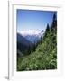 Bonney Range, Glacier National Park, Rocky Mountains, British Columbia, Canada-Geoff Renner-Framed Photographic Print