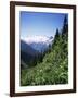 Bonney Range, Glacier National Park, Rocky Mountains, British Columbia, Canada-Geoff Renner-Framed Photographic Print