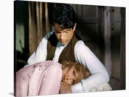 BONNIE AND CLYDE, 1967 directed by ARTHUR PENN Faye Dunaway and Warren Beatty (photo)-null-Stretched Canvas
