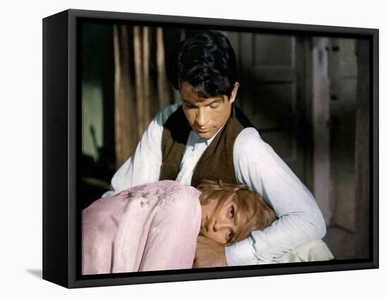 BONNIE AND CLYDE, 1967 directed by ARTHUR PENN Faye Dunaway and Warren Beatty (photo)-null-Framed Stretched Canvas