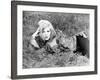 Bonnie and Clyde, Faye Dunaway, 1967-null-Framed Photo