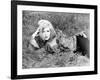 Bonnie and Clyde, Faye Dunaway, 1967-null-Framed Photo