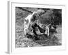 Bonnie and Clyde-null-Framed Photo