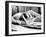 Bonnie and Clyde-null-Framed Photo