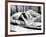 Bonnie and Clyde-null-Framed Photo