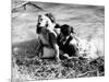 Bonnie and Clyde-null-Mounted Photo