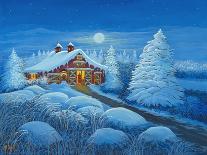 Winterland-Bonnie B. Cook-Laminated Giclee Print