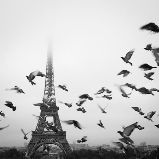 Photographic Print, , large