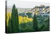 Bonnieux, Luberon, Provence, France, Europe-Peter Groenendijk-Stretched Canvas