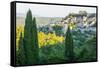 Bonnieux, Luberon, Provence, France, Europe-Peter Groenendijk-Framed Stretched Canvas