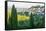 Bonnieux, Luberon, Provence, France, Europe-Peter Groenendijk-Framed Stretched Canvas