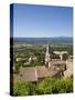 Bonnieux Vaucluse, Provence Alpes Cote D'Azur, France-Doug Pearson-Stretched Canvas