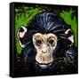 Bonobo Monkey-null-Framed Stretched Canvas