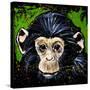 Bonobo Monkey-null-Stretched Canvas