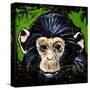 Bonobo Monkey-null-Stretched Canvas