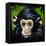 Bonobo Monkey-null-Framed Stretched Canvas