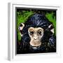 Bonobo Monkey-null-Framed Art Print