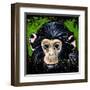 Bonobo Monkey-null-Framed Art Print