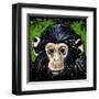 Bonobo Monkey-null-Framed Art Print