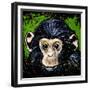 Bonobo Monkey-null-Framed Premium Giclee Print