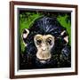 Bonobo Monkey-null-Framed Art Print