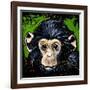 Bonobo Monkey-null-Framed Art Print