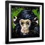 Bonobo Monkey-null-Framed Art Print