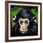 Bonobo Monkey-null-Framed Art Print