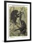 Bonobo Pygmy Chimpanzee-null-Framed Art Print