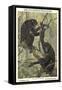 Bonobo Pygmy Chimpanzee-null-Framed Stretched Canvas