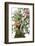 Bonsai Apple-Fabio Petroni-Framed Photographic Print