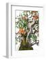 Bonsai Apple-Fabio Petroni-Framed Photographic Print