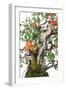 Bonsai Apple-Fabio Petroni-Framed Photographic Print