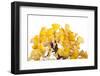 Bonsai Ginko Biloba-Fabio Petroni-Framed Premium Photographic Print