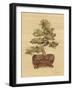 Bonsai I-Cheri Blum-Framed Art Print