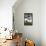 Bonsai Juniper-Fabio Petroni-Framed Stretched Canvas displayed on a wall