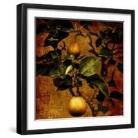 Bonsai Pear-Lydia Marano-Framed Photographic Print