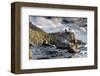 Bonsai Rock Lake Tahoe Nevada-null-Framed Premium Giclee Print