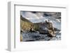 Bonsai Rock Lake Tahoe Nevada-null-Framed Premium Giclee Print