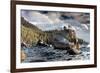 Bonsai Rock Lake Tahoe Nevada-null-Framed Art Print