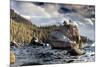 Bonsai Rock Lake Tahoe Nevada-null-Mounted Art Print