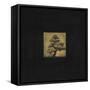 Bonsai Sacred Tree-OM-Framed Stretched Canvas