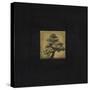 Bonsai Sacred Tree-OM-Stretched Canvas