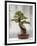 Bonsai Tree, Classical Garden, Suzhou, Jiangsu, China-Ivan Vdovin-Framed Photographic Print