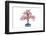 Bonsai-Fabio Petroni-Framed Photographic Print