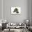 Bonsai-Fabio Petroni-Stretched Canvas displayed on a wall