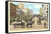 Bonsecours Market, Montreal-null-Framed Stretched Canvas