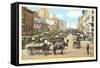 Bonsecours Market, Montreal-null-Framed Stretched Canvas