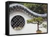 Bonzai Tree and Toled Arch Wall in Winding Garden at West Lake, Hangzhou, Zhejiang Province, China-Kober Christian-Framed Stretched Canvas